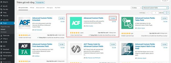 Custom field trong wordpress sử dung acf