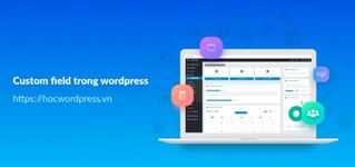 Custom field trong wordpress và các vấn đề liên quan