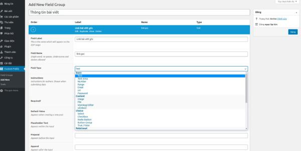 Custom field trong wordpress tiêu dùng acf